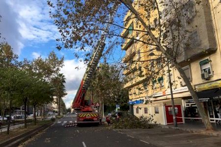 Les fortes ratxes de vent obliguen els bombers a intervindre davant la caiguda de branques a València