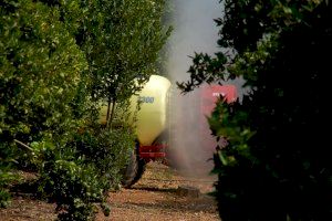 Los agricultores valencianos alertan en Bruselas que la supresión de fitosanitarios “nos lleva a un auténtico desastre”