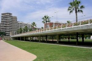 El PP de Valencia quiere que el Puente de las Flores lleve el nombre de 'Rita Barberá'