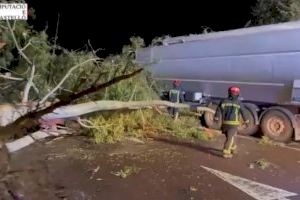 VIDEO | El viento derriba árboles, placas solares y postes de luz en la provincia de Castellón