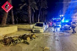 Els bombers d'Alacant realitzen 41 intervencions pel vent