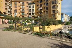 Alboraia posa en marxa la renovació de la vegetació de la Plaça Major de Port Saplaya