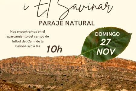 San Vicente y Ecologistes en Acció organizan una reforestación en la zona de Penyes Roges y el Sabinar este domingo 27 de noviembre
