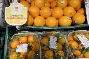 Consum fa costat al sector citrícola valencià venent només taronges i mandarines amb segell de qualitat