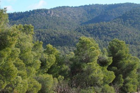 El alcalde de Villena insistirá en Conselleria y abrirá contactos para proteger Sierra Salinas como Parque Natural conjunto con Murcia