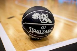 La Fase Previa de la Minicopa Endesa en l'Alquería del Basket se podrá seguir en directo