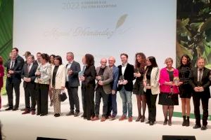 Vilamuseu recibe el premio Miguel Hernández por su trayectoria en el uso de las nuevas tecnologías para la divulgación del patrimonio