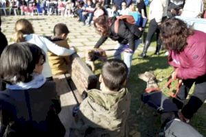 Almassora celebra su Feria de Adopción junto a 12 protectoras