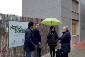 El Ayuntamiento de Alcoy construye un nuevo huerto social y mejora los existentes