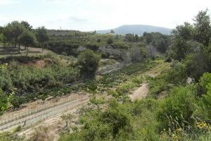 El Ayuntamiento de Teulada finaliza los trabajos para la conservación y mejora del sendero local homologado SL-CV 73 ‘Barranc de Xurra’