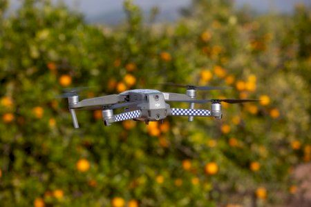 Así protege este municipio valenciano su cosecha de naranjas: drones para salvar la campaña