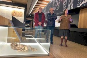 València exposa l'esquelet del neardental més antic de la Península Ibèrica