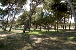 Castelló rehabilitarà el Pinar, renatularizará zones verdes i convertirà en zona de vianants l'entorn de San José