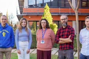 La Universitat de València desarrolla una herramienta para mejorar la investigación en nanoimanes moleculares