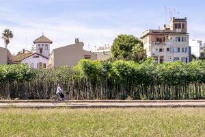 Shara Felipe Montesa amb “Un passeig per l’horta”, guanyadora del Concurs fotogràfic Coneix Godella