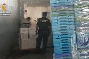 Interceptan 31 kilos de gamba roja, pulpo de roca y rape en Alicante para ser vendidos de forma ilegal