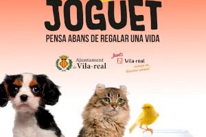 Vila-real lanza la campaña ‘No soy un juguete’ para concienciar sobre el regalo de mascotas durante estas fiestas