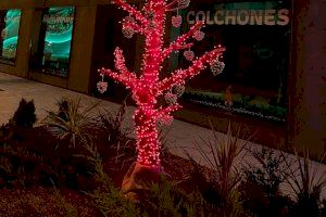 Un árbol caído vuelve a la vida por Navidad en Orihuela