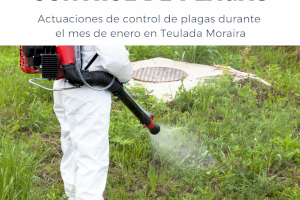 Actuaciones de control de plagas durante el mes de enero en Teulada Moraira