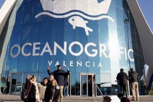 El Oceanogràfic de València supera 1,6 millones de visitantes en 2022 e iguala cifras de prepandemia