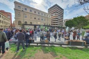 Los agricultores alicantinos exigen el cese de la ministra Ribera “por mentir para justificar el fin del trasvase”