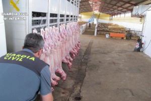 Descubren un matadero ilegal tras encontrar tripas de ovejas en la zanja de unas obras de Rafelbunyol