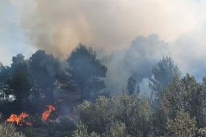 VÍDEO | Controlat l'incendi forestal de la Serra d'Aitana