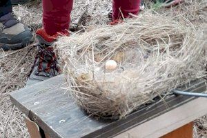 Defensores del patrimonio natural de Paterna instalan cajas nido en les Moles