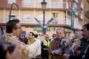 València ya lo tiene todo listo para la celebración de San Antonio Abad: programación y horarios