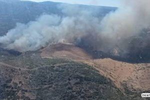 La Comunitat Valenciana creará un Fondo Estratégico Municipal de Prevención de Incendios y Gestión Forestal