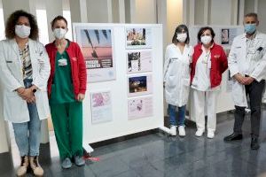El Hospital General Universitario de Elche acoge la exposición fotográfica “Por Siempre: un recorrido por el duelo perinatal”