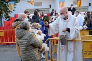 La tradicional benedicció d'animals per sant Antoni Abat arriba als carrers de València