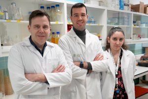 Investigadores de la UCV desarrollan un pintalabios antimicrobiano que impide la propagación de virus, bacterias y hongos