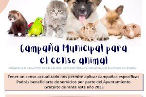Desde hoy puedes registrar a tu mascota en el Censo Animal Municipal de l’Alfàs del Pi
