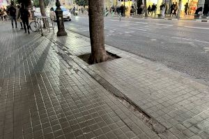 Los vecinos de Colón denuncian la suciedad, descuido y falta de poda en la calle