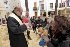 La Nucía celebrará la Bendición de Animales de Sant Antoni este sábado a mediodía