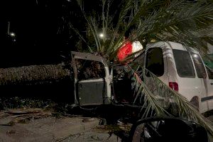 Cotxes esclafats i teulades volant: Els incidents que deixa el vent la Comunitat Valenciana