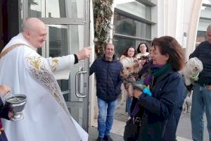 Los animales del albergue municipal de Torrevieja recibieron por primera vez la bendición de San Antón