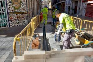 València planta más de 600 árboles en poco más de dos meses, que llegan a 20 barrios de la ciudad