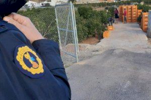 La Policía de la Generalitat registra huertos, almacenes y fruterías en su campaña contra los robos en el campo