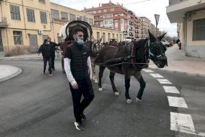 Petrer celebra el domingo 29 de enero la tradicional romería y bendición de animales de Sant Antoni