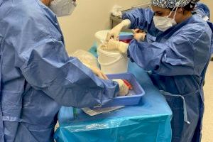 El Hospital de Gandia registra siete donaciones de órganos en 2022