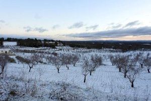 Llega el frío a la C. Valenciana: la AEMET advierte de ambiente "plenamente invernal"