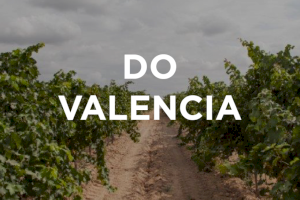 La DO Valencia estará en la Barcelona Wine Week