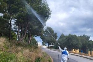 El Poble Nou de Benitatxell aplica un tratamiento ecológico para combatir la plaga de la procesionaria en los pinos