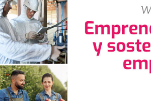El Ayuntamiento de Aspe ha destinado más de 98.000 euros durante el 2022 en el Programa de Ayuda a Emprendedores