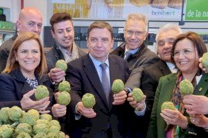 El ministro de Agricultura visita Benicarló y pone en valor su producto estrella: la alcachofa