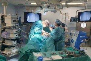 Operacions de cataractes i hèrnies: les intervencions més realitzades als hospitals valencians a la vesprada