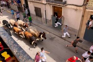 Set bous correran en el tancament de Torrehandilla de les festes de Santa Quiteria d'Almassora