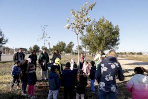 Mislata reúne a más de 600 escolares para realizar una plantación de árboles